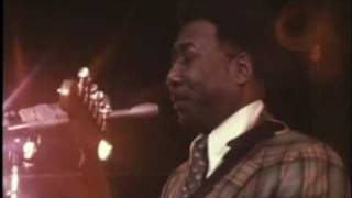 Mannish Boy  Muddy Waters Live 1971 [upl. by Applegate]