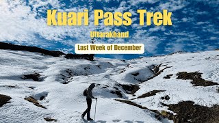 Winter Kuari Pass Trek  Uttarakhand  Last week of December 2023 [upl. by Orestes]