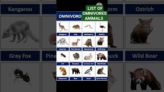 Omnivores animals list with pictures 🏞️ [upl. by Areid748]