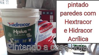 Pintura com tinta Hextracor e hidracor acrílica pode vídeo do Rotina DCasa [upl. by Chirlin]