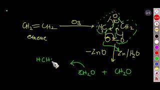 Ozonolysis of Ethene propene and but13diene  class 12  chemistry [upl. by Ayram]