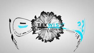 TekWissen Group Logo Animation [upl. by Johnath]