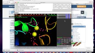 Pymol Tutorial for UFV BIO 320 [upl. by Mersey]