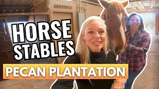 Discover the PECAN PLANTATION STABLES in Granbury Texas [upl. by Gillett]