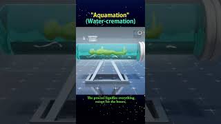 Aquamation or Water cremation alittleknowledge shorts [upl. by Vacla]