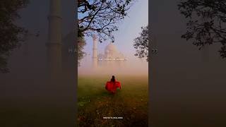 Ami Je Tomar 30 Lyrics Status  Bhool Bhulaiyaa 3 Song Status  Lyrics Video shorts status lofi [upl. by Eniluqaj]