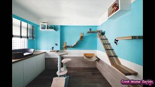 Cat Room Designs [upl. by Cul]