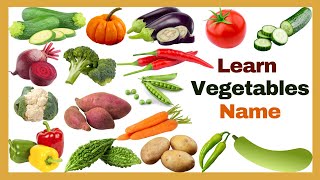 Vegetables Vocabulary ll 20 Vegetables Name in English With Pictures ll All Vegetables Names [upl. by Trstram226]