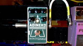 REVIEW Catalinbread Adineko Oil Can Delay [upl. by Lory66]