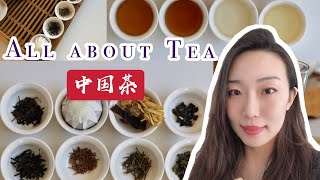 【EN】How to Make Tea How Many Types Chinese Tea Ceremony Gong Fu Tea for Beginners Puer tea [upl. by Noelc]