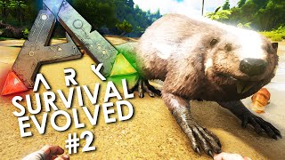 ARK Survival Evolved  Episode 2  BUCKTOOF the BEAVER Taming A Castoroides w Lachlan [upl. by Yaresed]