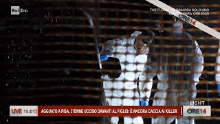 Giallo di Pisa ucciso davanti al figlio è caccia al killer  Ore 14 del 08102024 [upl. by Theodosia]