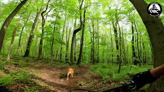 Ohiopyle Mountain Biking  Canyon Loop [upl. by Lynda]