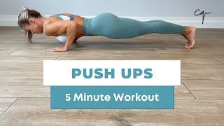 5 Minute Push Ups Workout at Home [upl. by Tahpos]