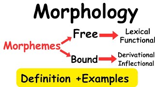 MorphologyMorphemeTypes of morphemelinguistics [upl. by Hcnarb]