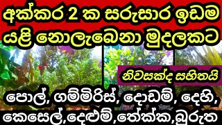 අක්කර 2 ක සුපිරි ඉඩම අඩු මුදලකට  Land for sale in sri lanka  Pol idam  Agriculture  Aduwata idam [upl. by Rafiq]