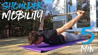 5 Minute Upper Body Mobility Routine FOLLOW ALONG [upl. by Ticon746]