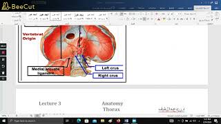 thorax 3 موصل [upl. by Ahswat]