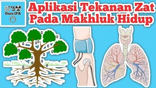 Aplikasi Konsep Tekanan Zat Pada Makhluk Hidup  Penerapan Tekanan Zat Dalam Kehidupan Sehari hari [upl. by Chin]