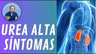 Urea alta síntomas y dieta VIDEO 28 [upl. by Rabka]