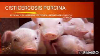 CISTICERCOSIS PORCINA [upl. by Sheryle]