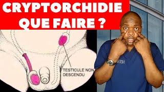 Cryptorchidietesticules en dehors des boursesCest lune des causes de linfertilité chez lhomme [upl. by Eibor]