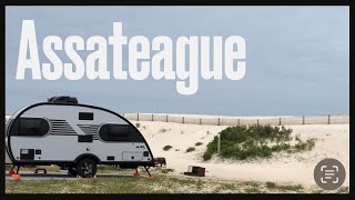 Unbelievable Camping Spot Assateague Island Revealed HorsesAreInvolved [upl. by Sral]