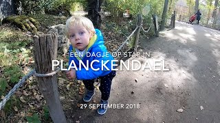 Planckendael  September 2018 [upl. by Norford]