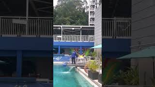 Abhijith doing Bungee Jumping Sentosa Singapore [upl. by Eatnahs530]