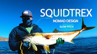 Putting NomadTackle SQUIDTREX to the test for some Yellowtail action [upl. by Arnulfo]