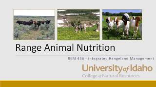 Animal Nutrition [upl. by Crispa]