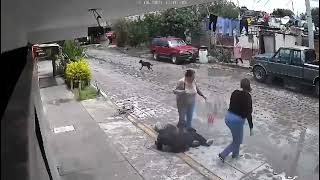 Perros atacan a mujer en Pedro Escobedo [upl. by Ayotan783]