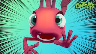 Free Fallin  Antiks 🐜  Funny Cartoons for Kids [upl. by Thornie]