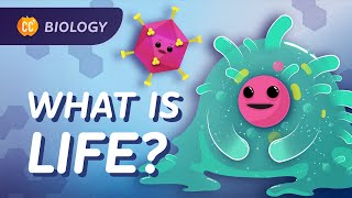 Introduction to Biology Crash Course Biology 1 [upl. by Arod]