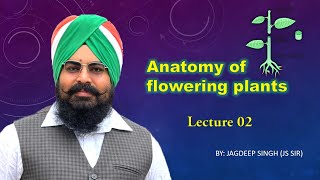 ANATOMY OF FLOWERING PLANTS LECTURE 02 [upl. by Notnel]