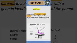 Back Cross quickrevision biologyclass12 2025boardexam prepbiology [upl. by Adnoloy]