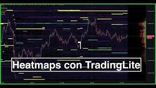 TradingLite para ver Heatmaps Cómo leer la información del libro de órdenes en Binance y otros [upl. by Elspeth]