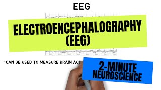 2Minute Neuroscience Electroencephalography EEG [upl. by Capello]