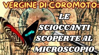 VERGINE DI COROMOTO LE SCIOCCANTI SCOPERTE AL MICROSCOPIO [upl. by Bail]