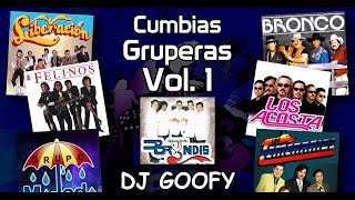 DJ GOOFY  Cumbias Gruperas Video Megamix 1 [upl. by Nylhtac]