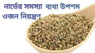 Benefits of Carom Seeds  জোয়ানের উপকারিতা ও অপকারিতা [upl. by Barbee]