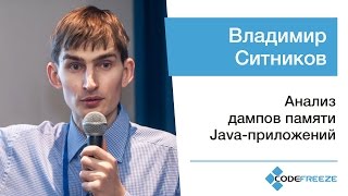 Владимир Ситников — Анализ дампов памяти Javaприложений [upl. by Anehc]