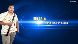 Biu Cela Orkestrale Alegro  Live  2022 [upl. by Judsen]