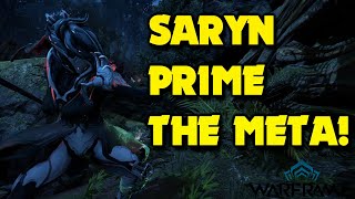 Saryn vs LVL 9999  The META QUEEN  Full Build Guide  Echoes of Duviri [upl. by Myranda154]