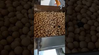 Color sorter selects impurities and mold in soybean machine blackchickpeascolorsortermachine [upl. by Holladay]