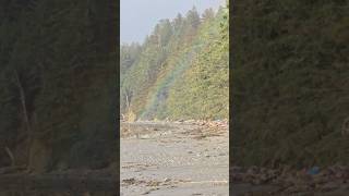 Ozette Triangle Coastal Trail rainbow  Clallam Bay Washington Peninsula 1 [upl. by Sayette]