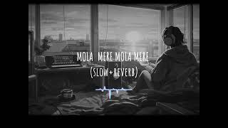 mola mere mola mere slowreverb song lofi molameremola chillwave Chillwave54 [upl. by Kale]