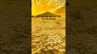 Fields of Gold lyrics  Eva Cassidy music lyrics song [upl. by Svirad57]