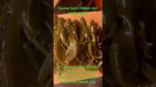 Making crawls and ribbon tail worms in goose turd color fishingvideo bassfishinglures baitmaking [upl. by Kerry]