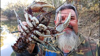 Epic Underwater Footage Yellowbelly Fishing and Crayfish Encounter [upl. by Dynah]